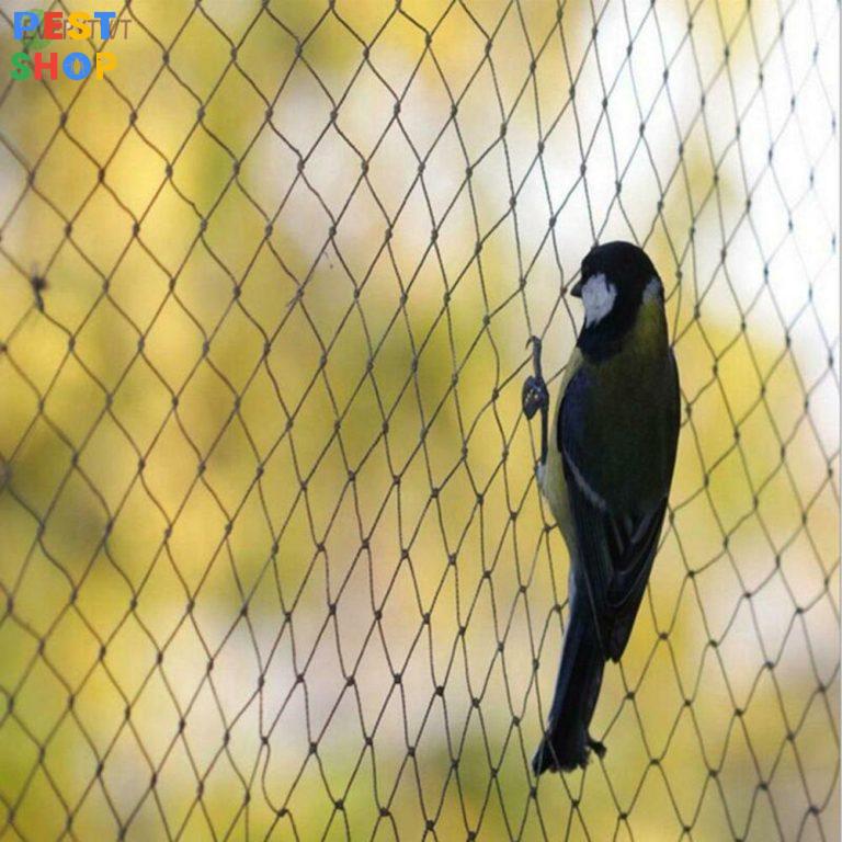 lưới chống chim